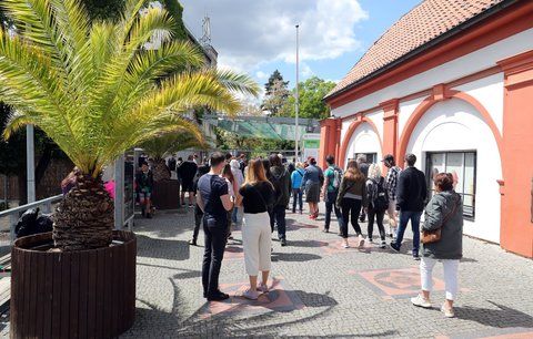 Zoo Praha navštívilo za týden přes dva tisíce ukrajinských žen a dětí. Chystá i speciální dny