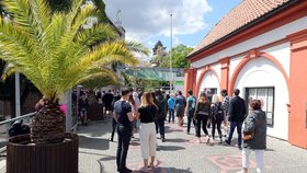 Zoo Praha musela kvůli naplnění kapacity 30. května 2020 ve 13:00 zavřít.