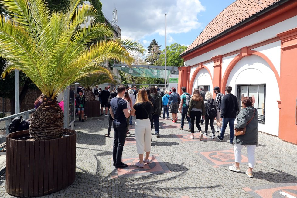 Zoo Praha musela kvůli naplnění  kapacity 30. května 2020 ve 13:00 zavřít.