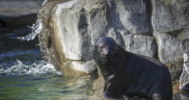 Zoo Praha