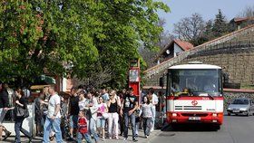 Autobus u Zoo Praha.