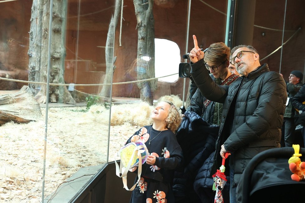 V pražské zoo se návštěvníkům otevřel nový gorilí pavilon Dja. Přes nepřízeň počasí dorazily asi dvě stovky lidí