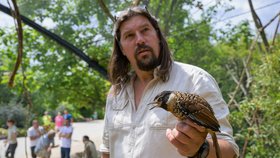 Zoo Praha otevřela novou voliéru pro zpěvné ptáky ze Sečuánu