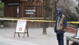 Skončil nouzový stav, a tak se mohla otevřít i pražská zoo. Hned první den ji přišlo navštívit několik stovek nadšenců, převážně rodin s dětmi.