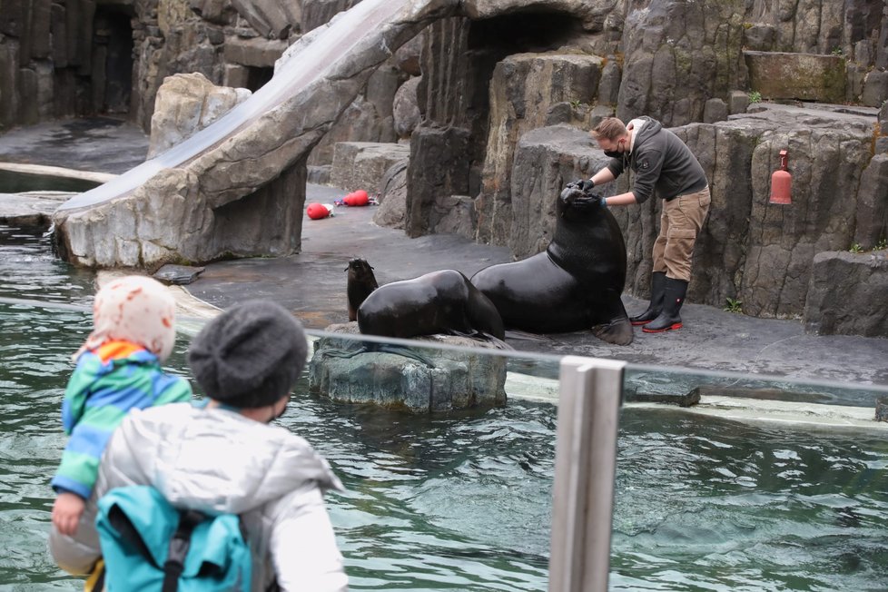 Skončil nouzový stav, a tak se mohla otevřít i pražská zoo. Hned první den ji přišlo navštívit několik stovek nadšenců, převážně rodin s dětmi.