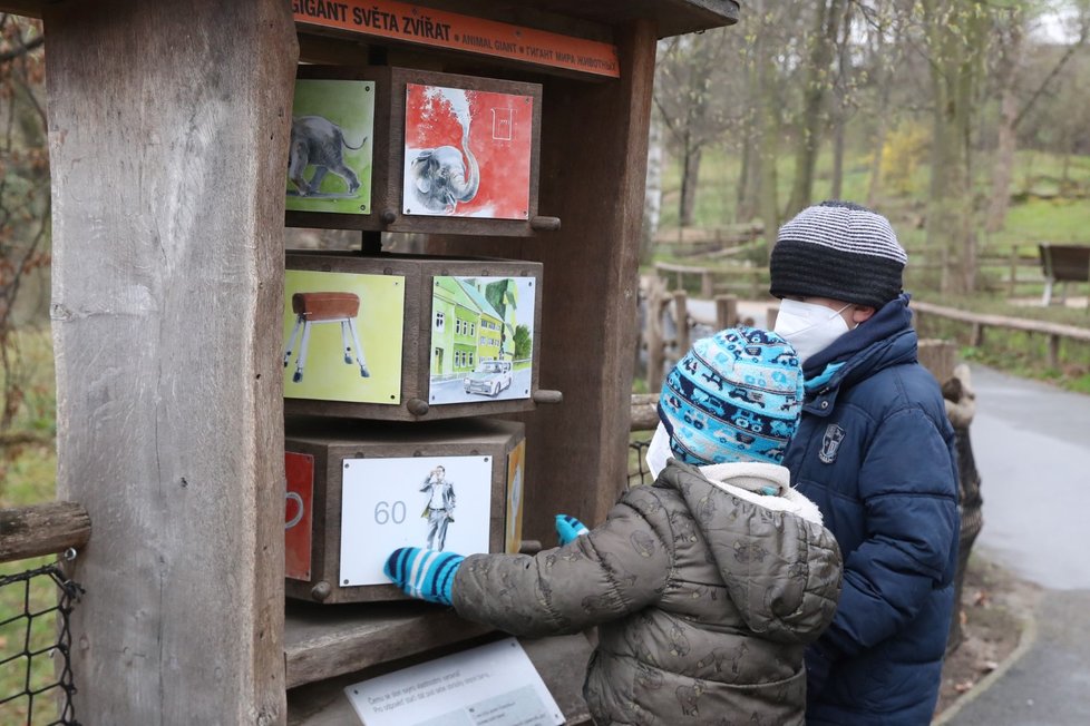 Skončil nouzový stav, a tak se mohla otevřít i pražská zoo. Hned první den ji přišlo navštívit několik stovek nadšenců, převážně rodin s dětmi.