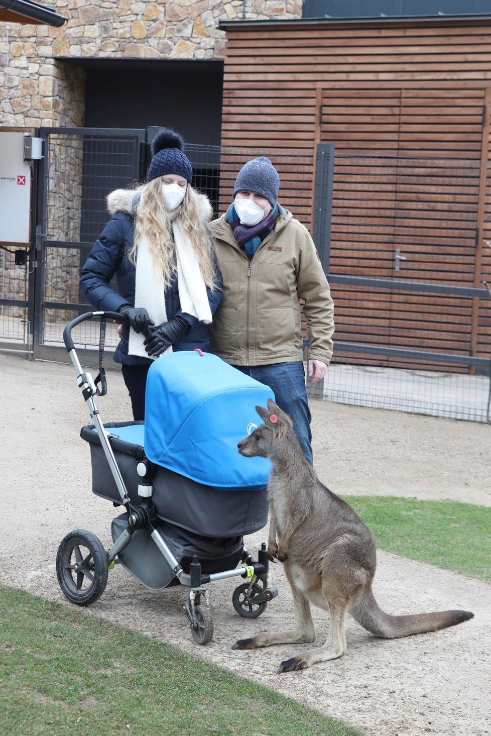 Skončil nouzový stav, a tak se mohla otevřít i pražská zoo. Hned první den ji přišlo navštívit několik stovek nadšenců, převážně rodin s dětmi.