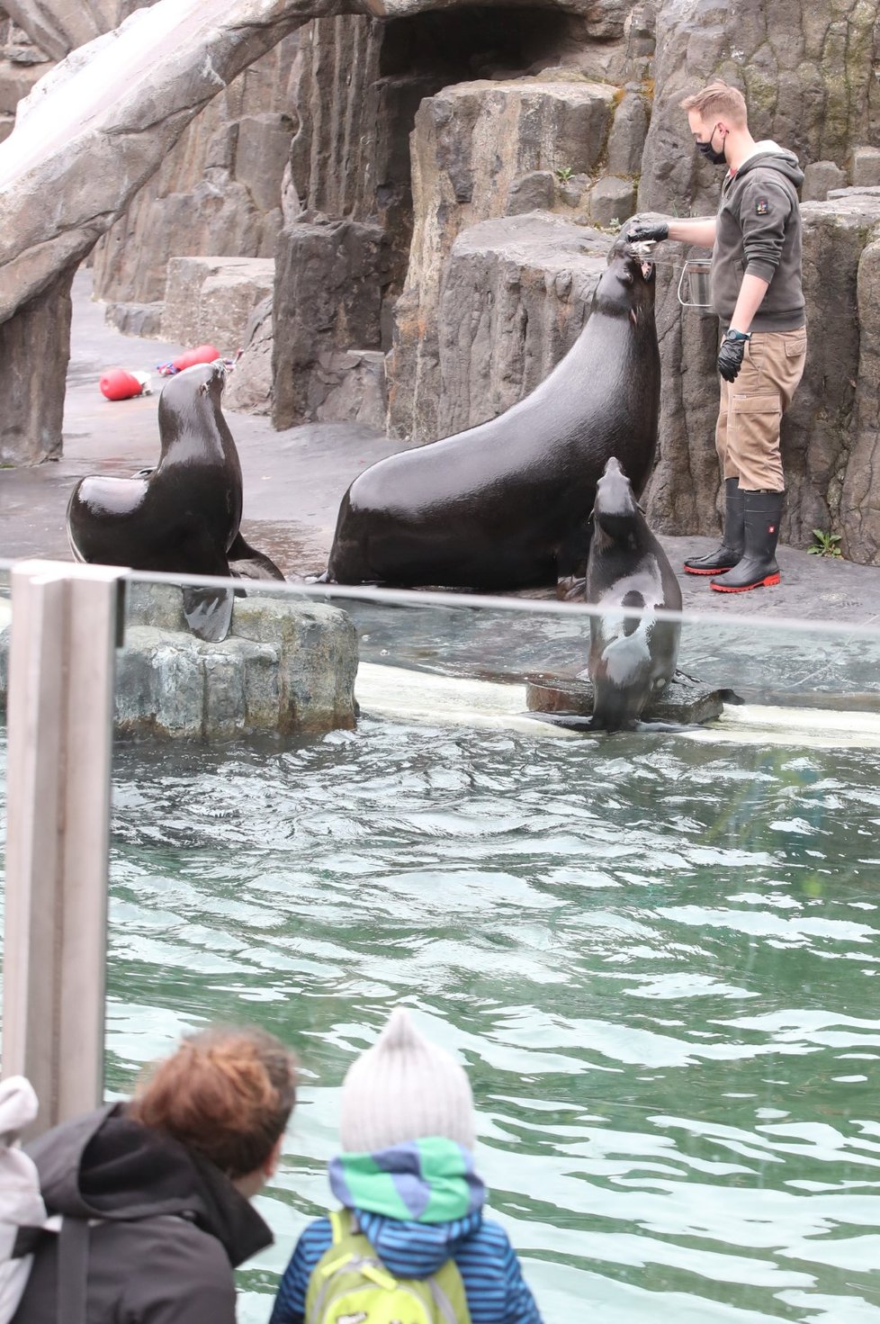 Skončil nouzový stav, a tak se mohla otevřit i pražská zoo. Hned první den ji přišlo navštívit několik stovek nadšenců, převážně rodin s dětmi