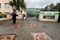 Pražská zoo hlásí: V pondělí a úterý zůstane zavřeno! Kvůli podmáčené půdě hrozí pády stromů