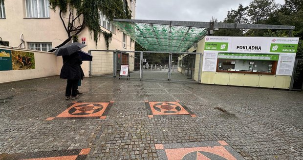 Pražská zoo je zavřená, kvůli podmáčené půdě a větru hrozí pád stromů.