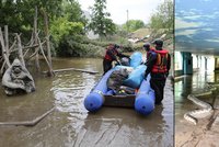Exkluzivní záběry zatopené ZOO: Podívejte se, jak odklízejí následky povodně