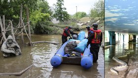 Od nedělního večera zůstávají chovatelé z pražské zoo ve své práci a odkrývají zkázu.