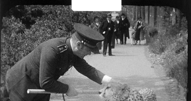 Staré záběry ze Zoo Praha z let 1934 až 1937.