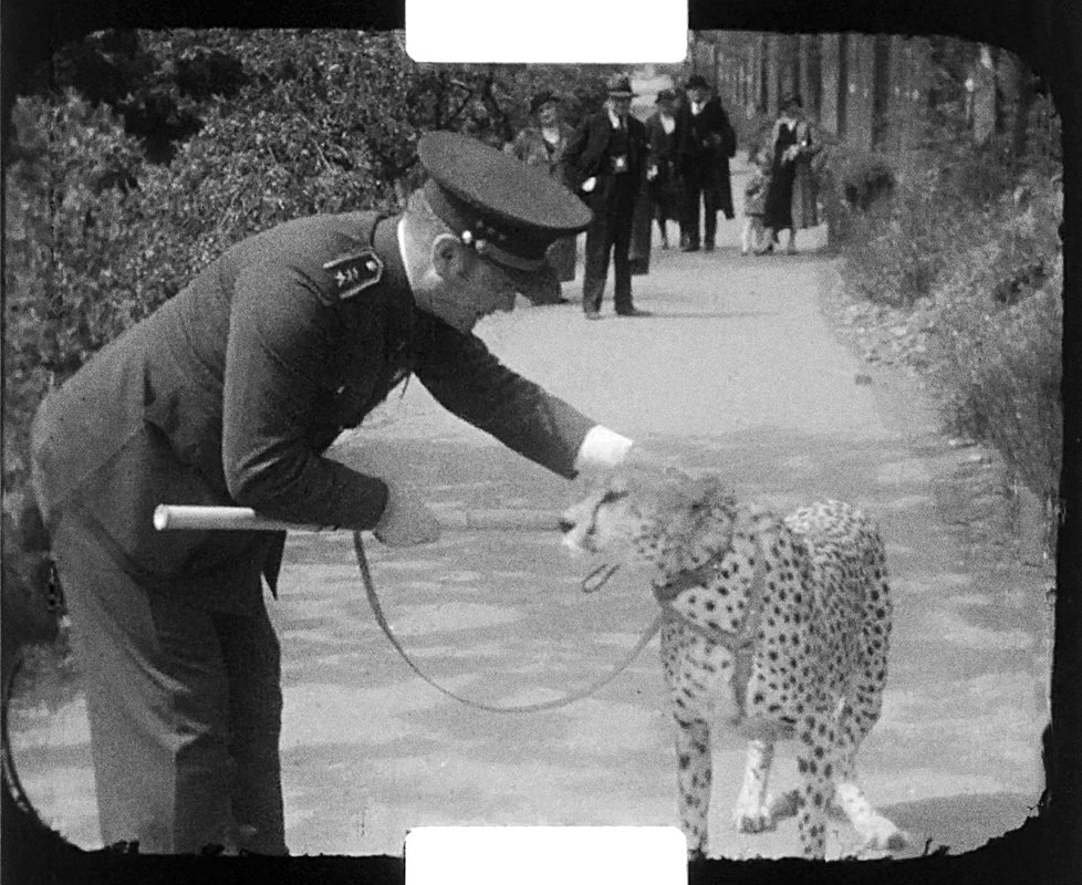 Staré záběry ze Zoo Praha z let 1934 až 1937.