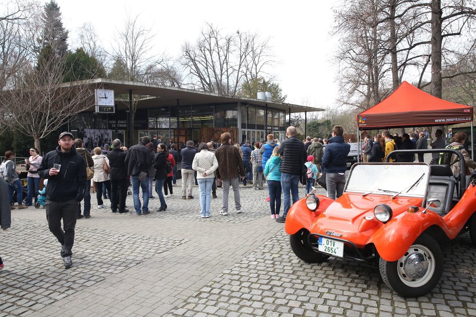 Zoologická zahrada v Praze v sobotu slavnostně zahájila svou 86. sezonu.