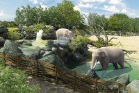 Tohle bude nový sloninec v pražské zoo