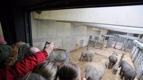 Slavnostní otevření nového slonince v pražské zoologické zahradě