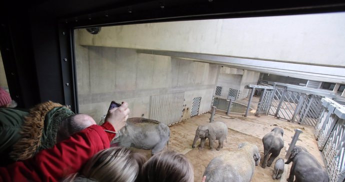 Slavnostní otevření nového slonince v pražské zoologické zahradě