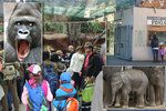 V zoologické zahradě se můžete těšit na nejrůznější zvířata, nejlepší je do zoo přijít o všedním dni.