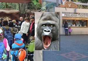 V zoologické zahradě se můžete těšit na nejrůznější zvířata, nejlepší je do zoo přijít o všedním dni.
