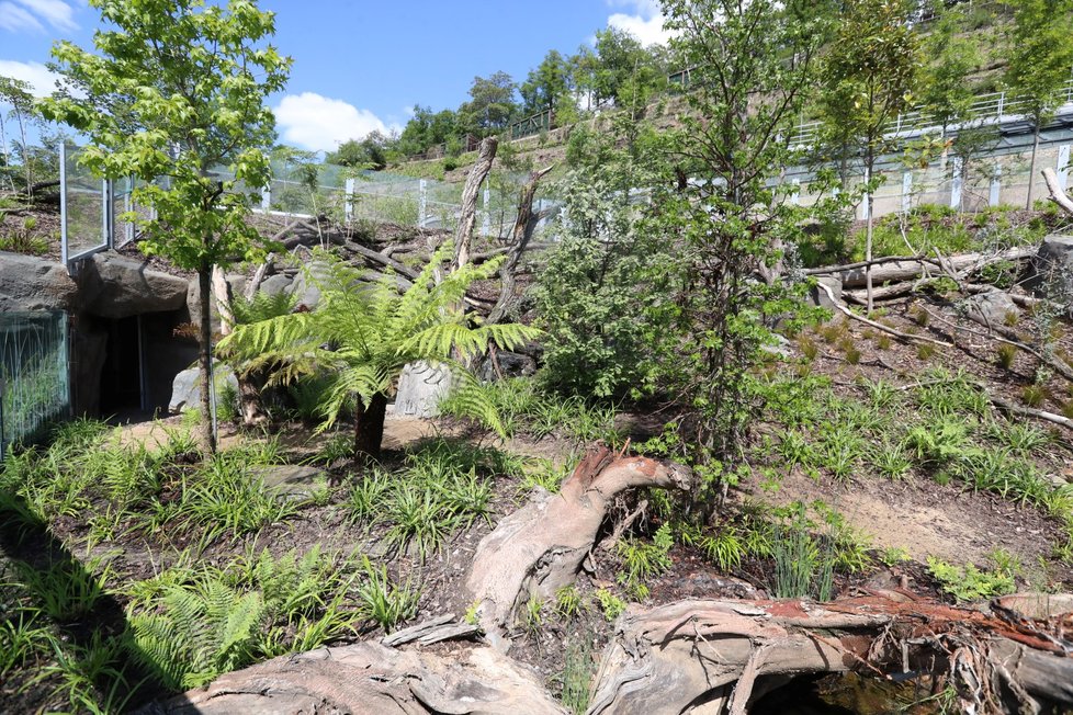 V Zoo Praha vznikla nová expozice tasmánské a australské fauny nazvaná Darwinův kráter.