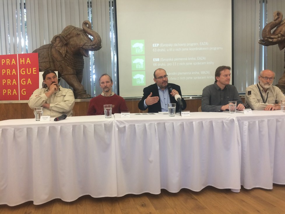 V pražské zoologické zahradě chovají řadu výjimečných druhů. Ty nejvýznamnější z nich představili na čtvrteční tiskové konferenci.