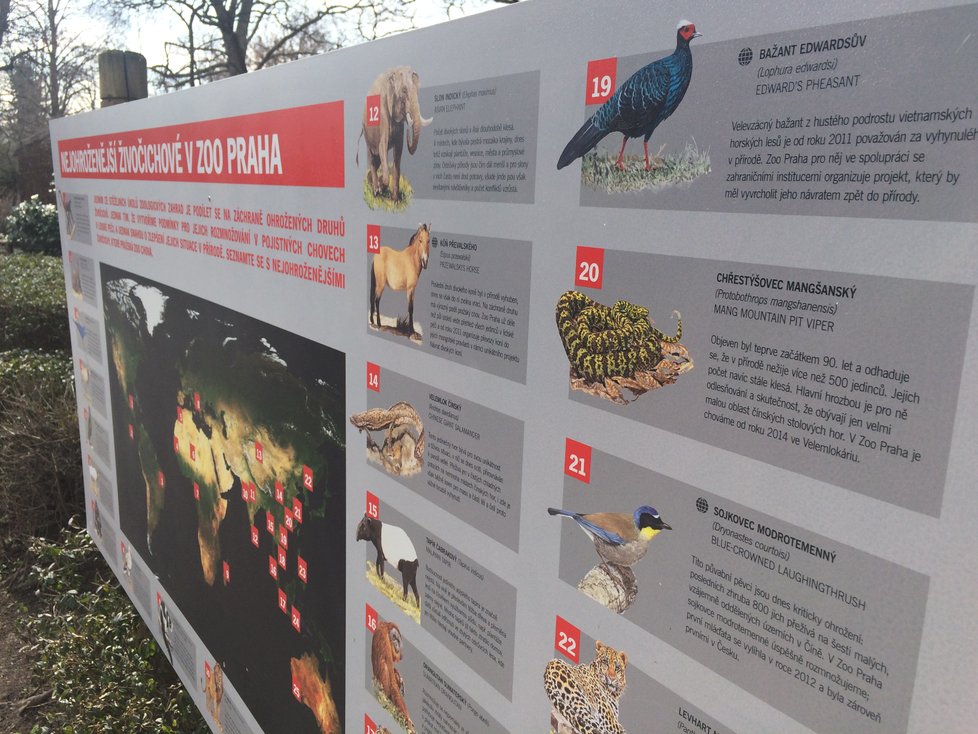 Zoo Praha pečuje o kriticky ohrožená zvířata. Snaží se ohrožené druhy opečovávat, a zajistit jejich přežití pro příští generace.