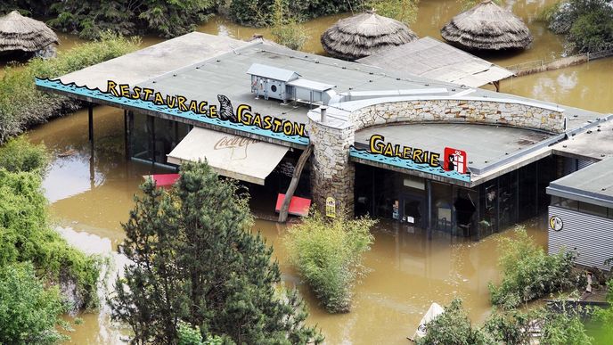Záplavy v pražské zoo.