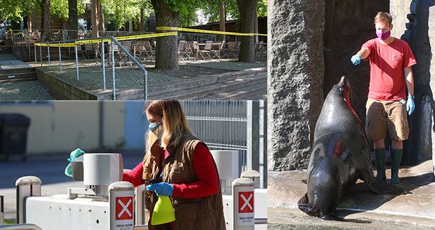 Zoo Praha se probouzí k životu: V omezeném režimu, během první hodiny přišlo 200 lidí