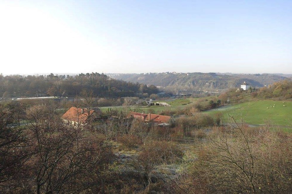 Jednání kolem nového pavilonu goril v Zoo Praha pokračují. Zahrada má přednést dílčí úpravy v září.