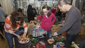 Adventní věnec přímo od zvířat: O víkendu se bude tvořit v Zoo Praha