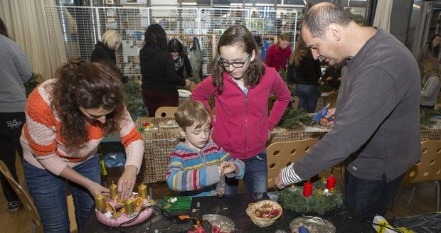 Zoo Praha chystá dílnu na tvorbu adventních věnců.