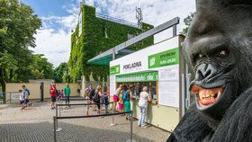 Pražská zoo je podle lidí 5. nejlepší na světě: Jedničkou zůstává v Evropě 