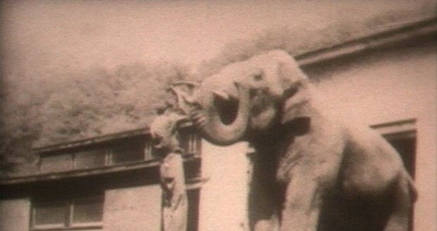 Jediný dosud spolehlivě identifikovaný pracovník Zoo Praha, který je zachycen ve filmu z roku 1949: Josef Král "starší"