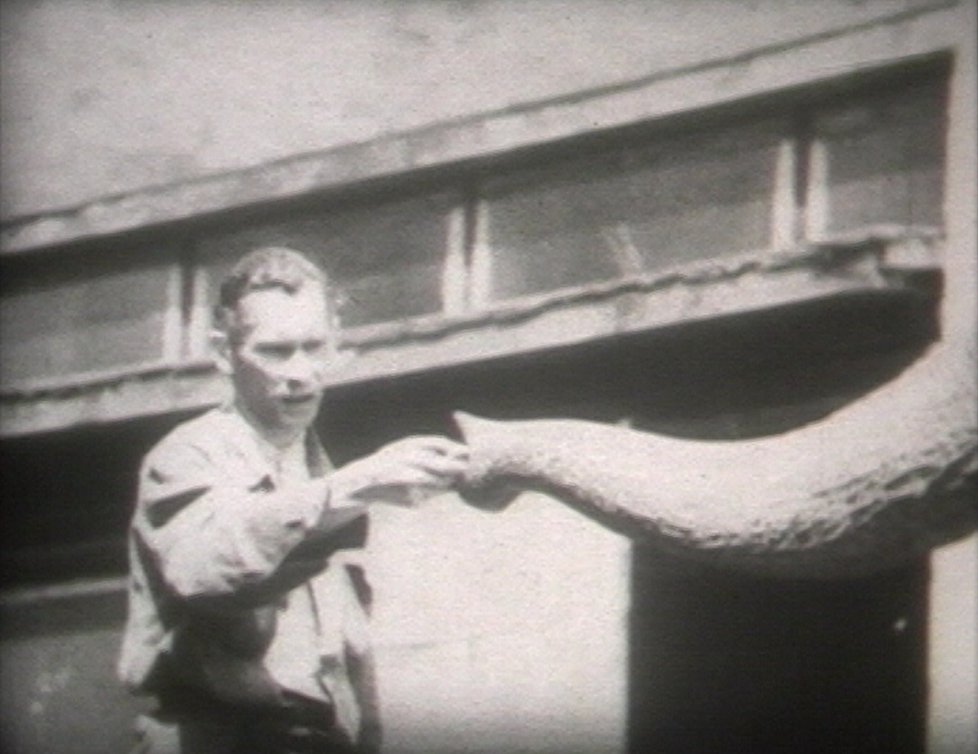 Jediný dosud spolehlivě identifikovaný pracovník Zoo Praha, který je zachycen ve filmu z roku 1949: Josef Král &#34;starší&#34;