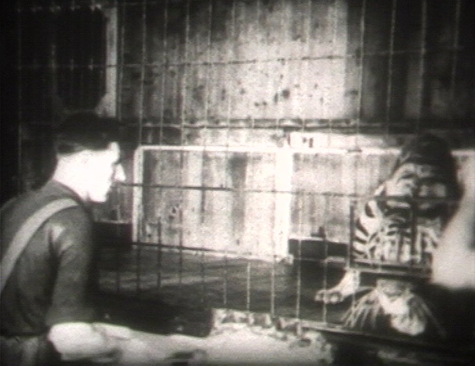 Další pracovník Zoo Praha, který si &#34;zahrál&#34; v dokumentu z roku 1949. Snad by mohlo jít o pana Crháka