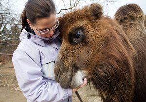 Vydejte se v únoru do zoo.