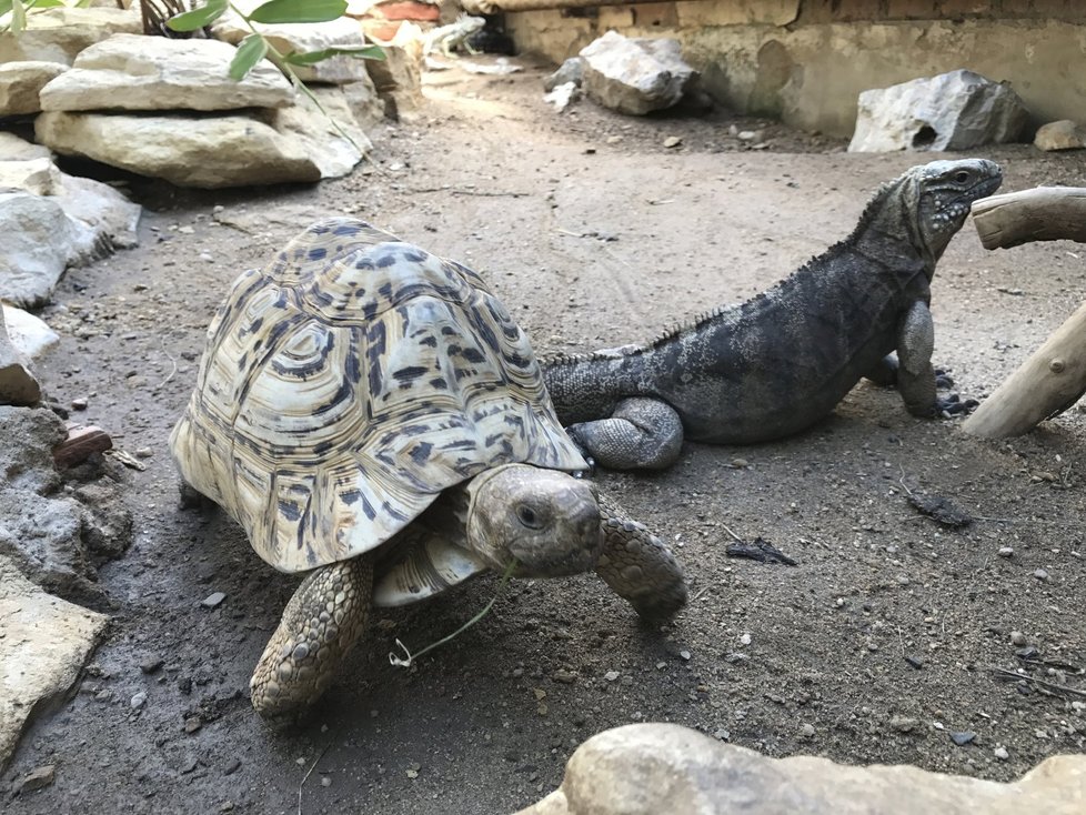 Stanice přírodovědců na Smíchově funguje už přes 60 let, a přitom o ní často nevědí ani místní obyvatelé.