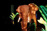 Divoká Asie rozzářila Zoo Praha: Více než 200 svítících lampionů a šedesátimetrový světelný tunel!