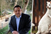 Poprask kolem táborské zoo: Nabízí na internetu klokana či vejce emu! Ředitel vysvětlil situaci