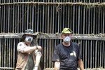 Čeští chovatelé informují o nejnovějších událostech v gruzínské zoo