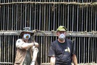 Šokující zprávy z tbiliské zoo: Lidé ani zvířata nemuseli zemřít!