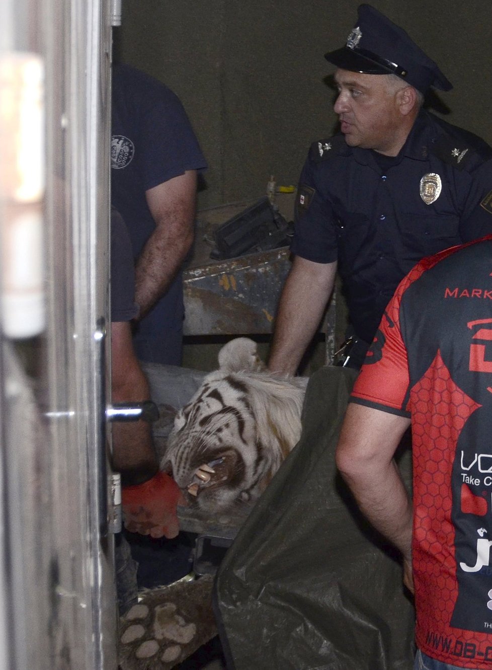 Bílý tygr napadl v centru Tbilisi dva lidi. Jednoho z nich zabil