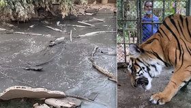 Pohled k pláči. Opuštěná zoo v Thajsku plná zubožených zvířat.