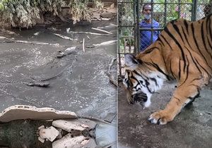 Pohled k pláči. Opuštěná zoo v Thajsku plná zubožených zvířat.