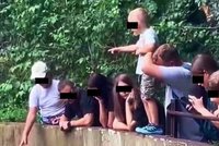 Neurvalci v Zoo Ostrava krmili mandrily! Po napomenutí ještě nadávali