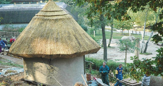 Počasí stavbařům přeje. Dokončují ubikaci pro damany skalní.