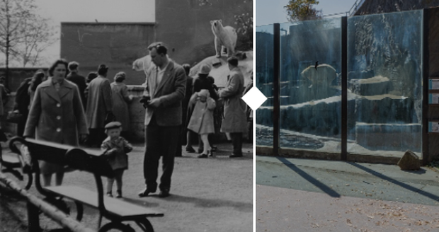 Zoo Praha slaví 90 lez