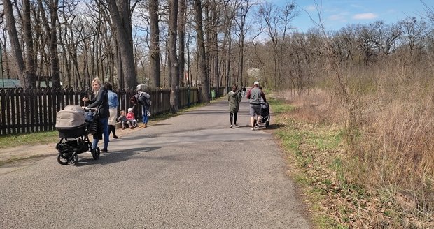 K hodonínské zoo zamířilly po půl roku návštěvníci.