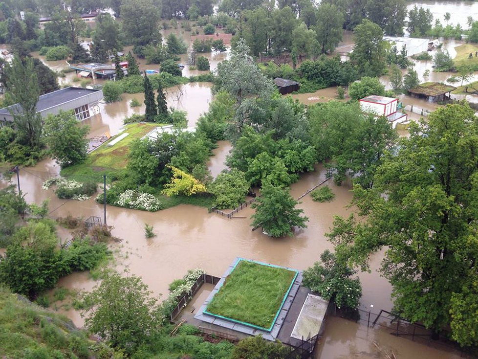 Povodně 2013: Ředitel Pavel Bobek zachytil, jak to vypadalo v pražské zoo 3. června ráno